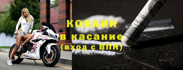 молекула духа Дмитриев
