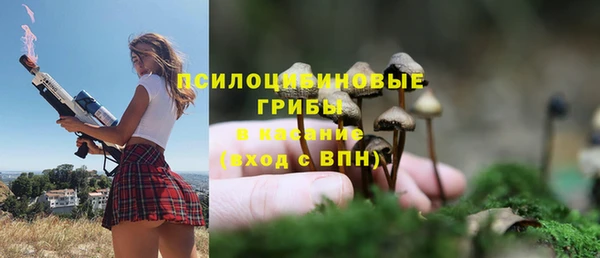 COCAINE Ельня