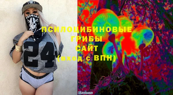 apvp Дмитров