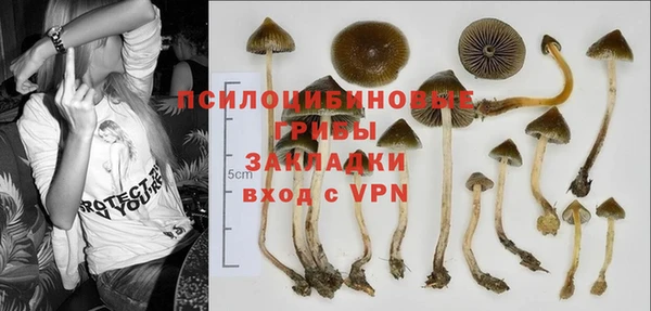 ECSTASY Елабуга