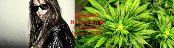 молекула духа Дмитриев