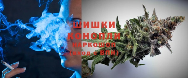 молекула духа Дмитриев