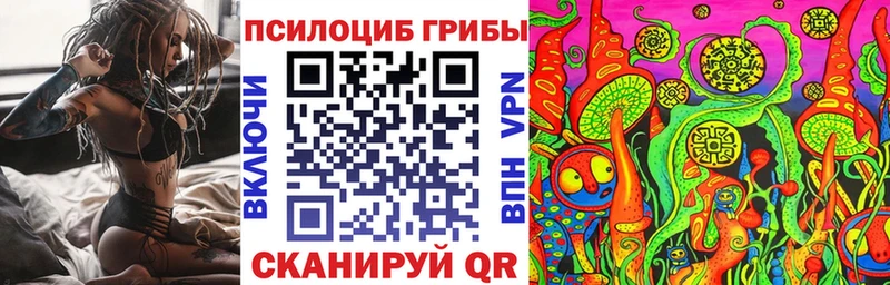 Псилоцибиновые грибы Cubensis omg рабочий сайт Льгов купить наркоту